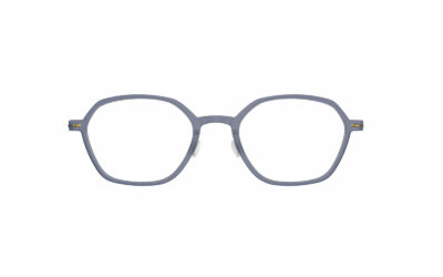 LINDBERG N.O.W. 6665